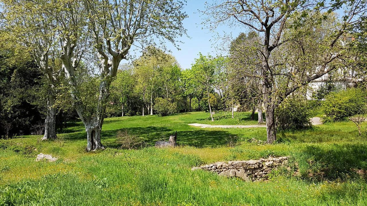 Chateau Saint Martin De Graves Aumes Exterior photo
